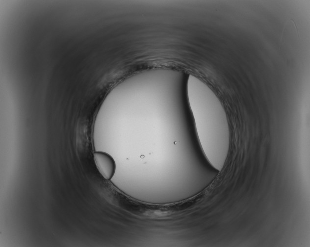 X0000086770506200704130839