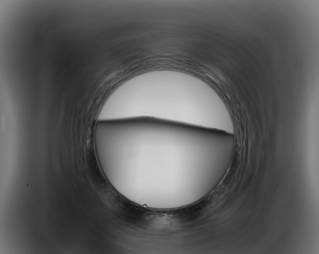 X0000086770507200704130839
