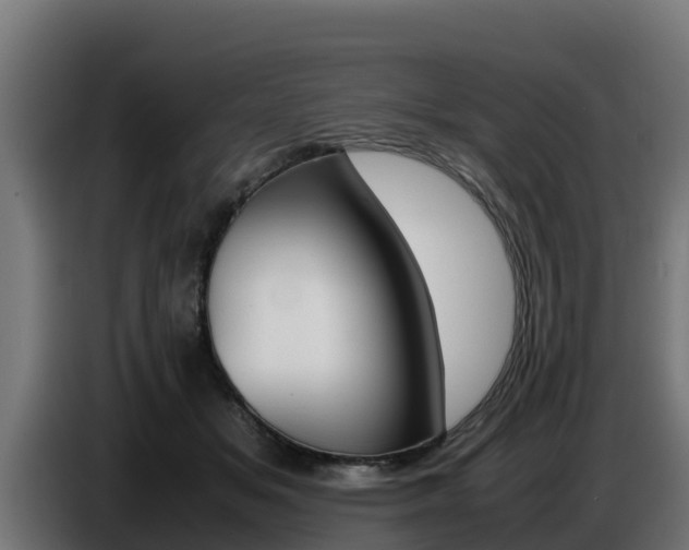 X0000086770509200704130839