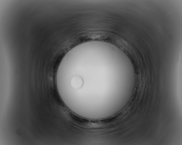 X0000086770510200704130839