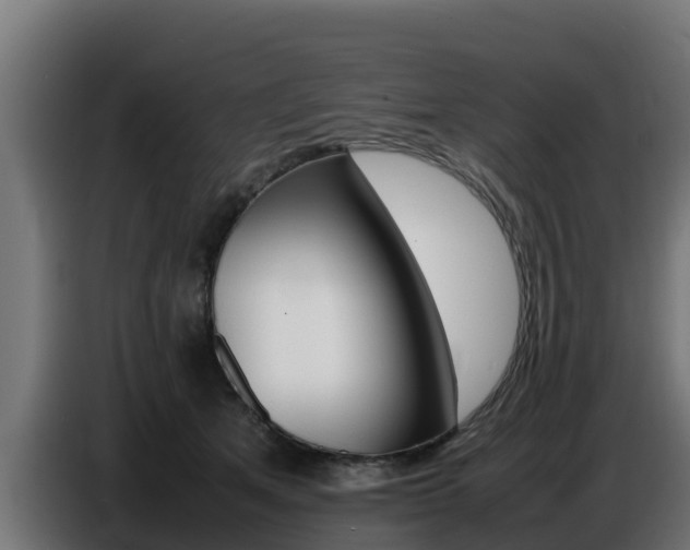 X0000086770513200704130839