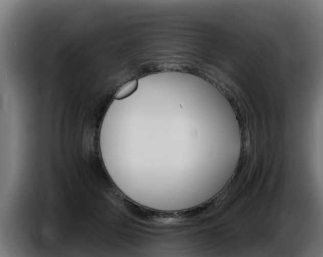X0000086770514200704130839