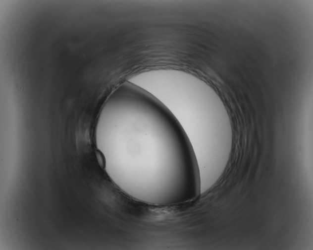 X0000086770516200704130839