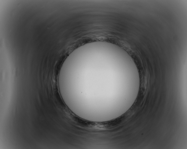X0000086770518200704130839