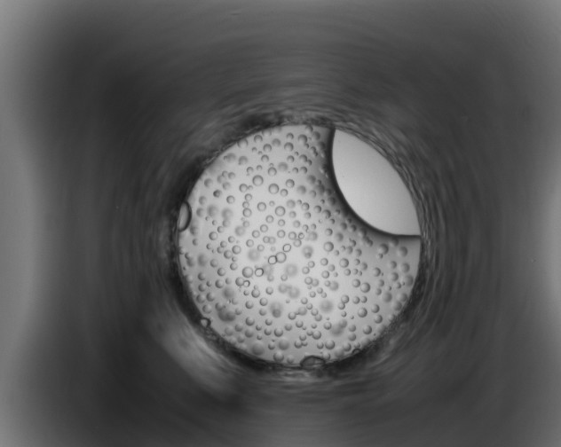X0000086770519200704130839