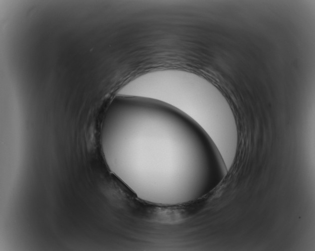 X0000086770520200704130839
