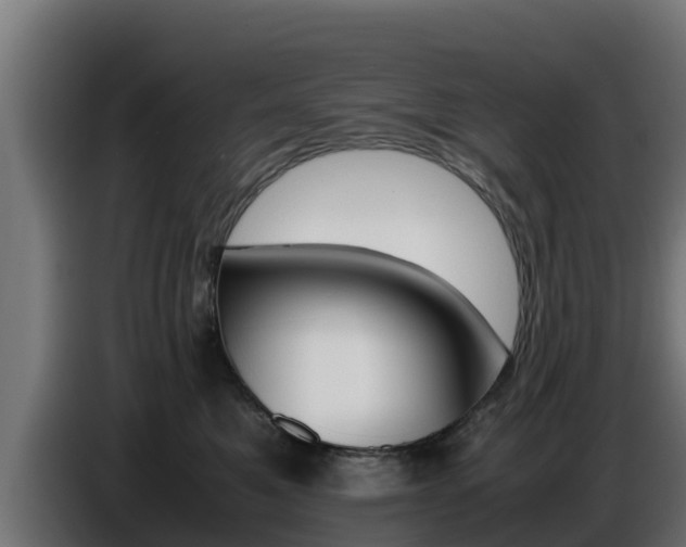 X0000086770521200704130839