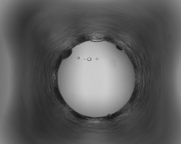 X0000086770523200704130839
