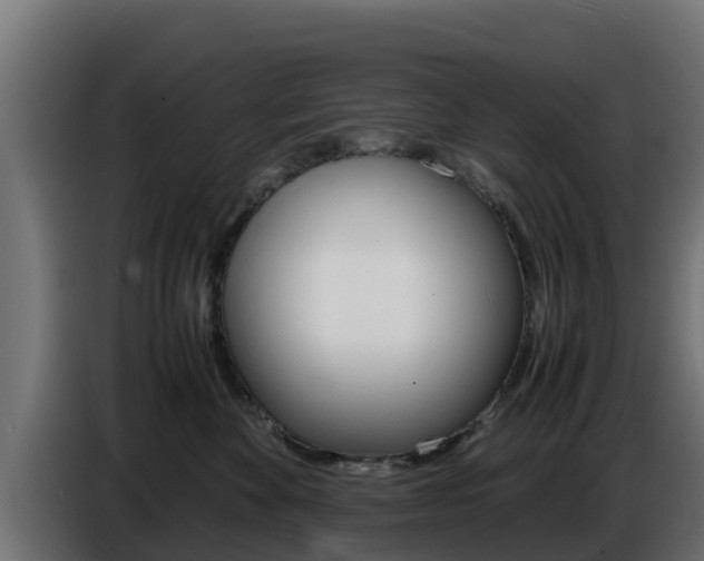X0000086770524200704130839