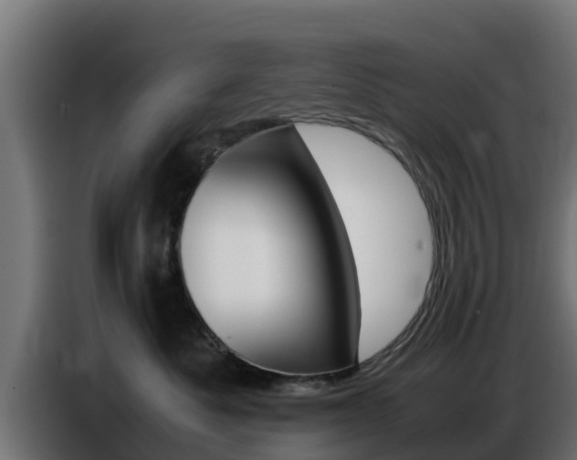 X0000086770525200704130839