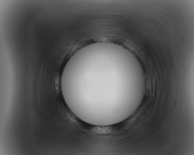 X0000086770526200704130839