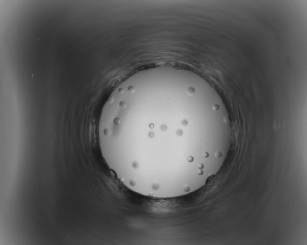 X0000086770527200704130839