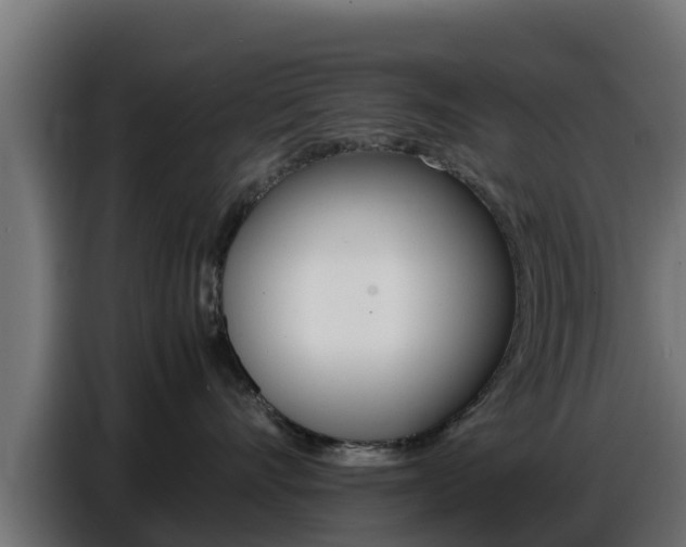 X0000086770528200704130839