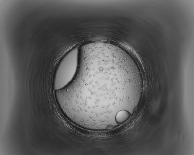 X0000086770529200704130838