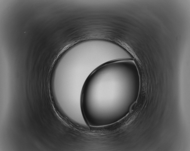X0000086770530200704130838