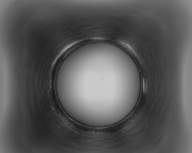 X0000086770531200704130838