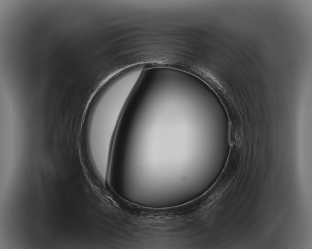 X0000086770532200704130838