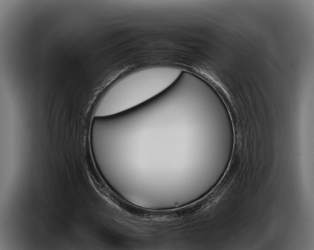 X0000086770533200704130838