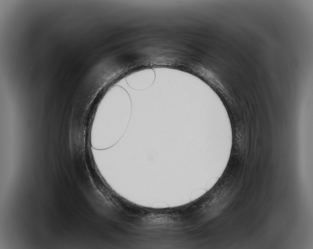 X0000086770534200704130838