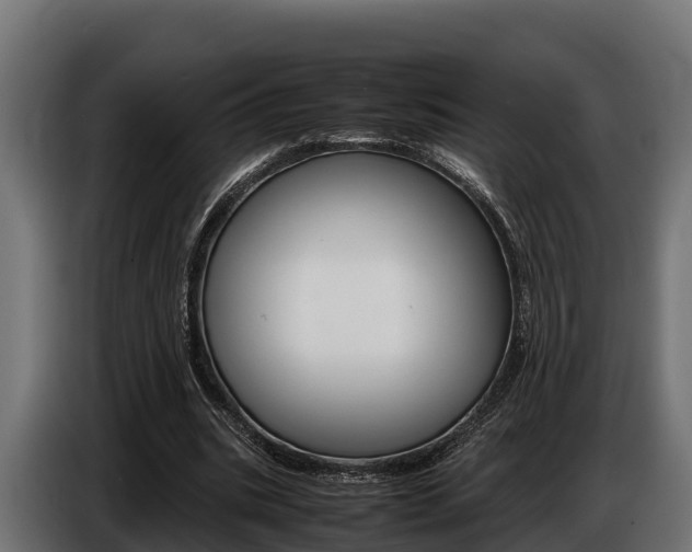 X0000086770535200704130838