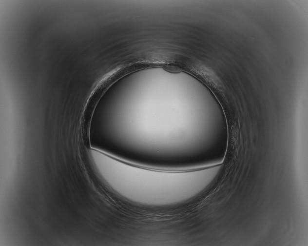 X0000086770536200704130838