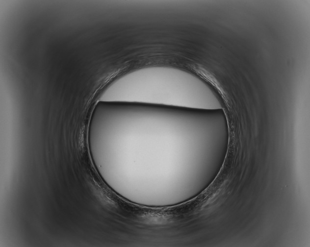 X0000086770537200704130838