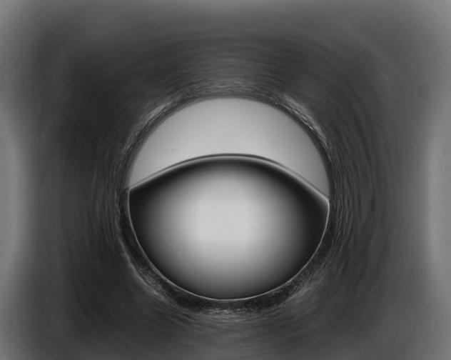 X0000086770538200704130838