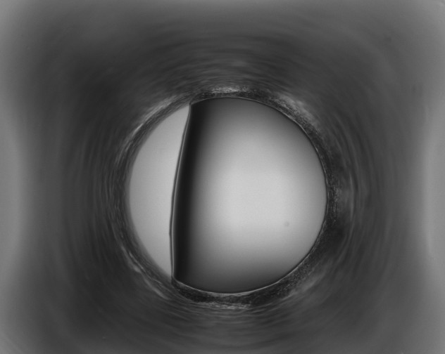 X0000086770539200704130838