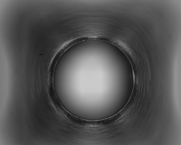 X0000086770540200704130838