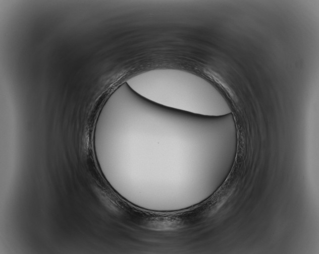X0000086770541200704130838
