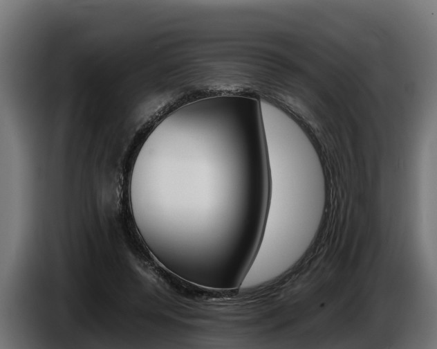 X0000086770544200704130838
