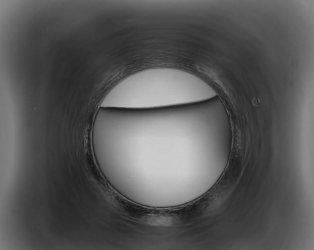 X0000086770545200704130838