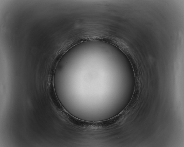 X0000086770546200704130838
