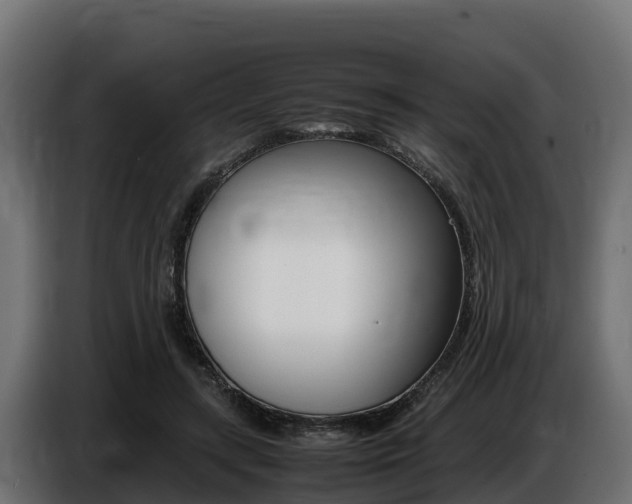 X0000086770547200704130838