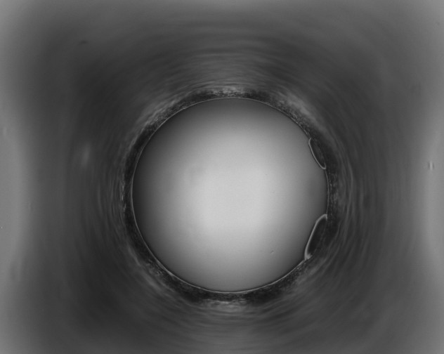 X0000086770548200704130838