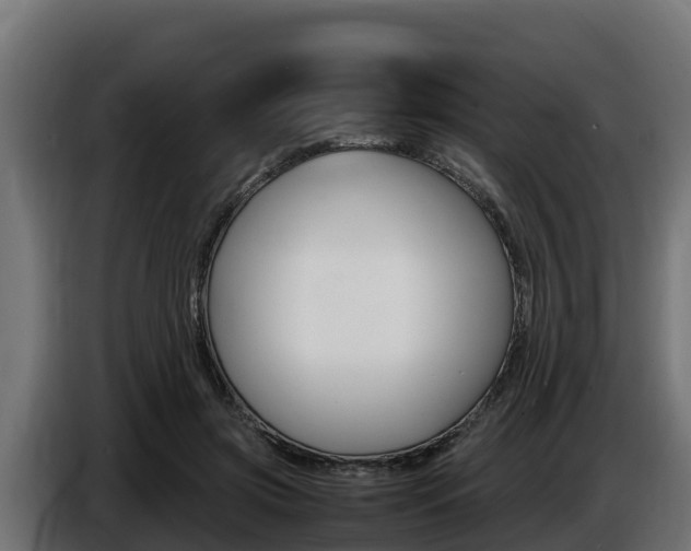 X0000086770549200704130838