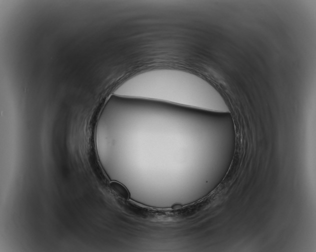 X0000086770550200704130838