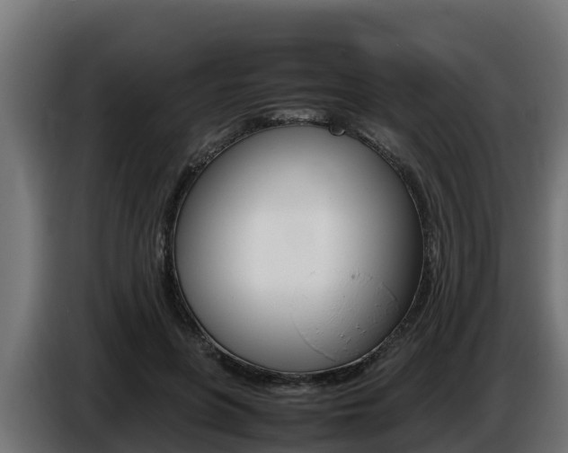X0000086770551200704130838