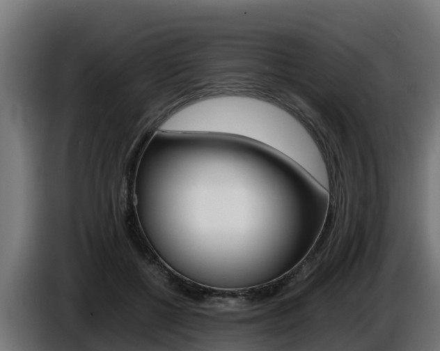 X0000086770552200704130838