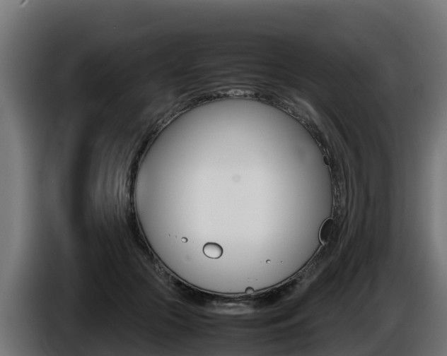 X0000086770553200704130838