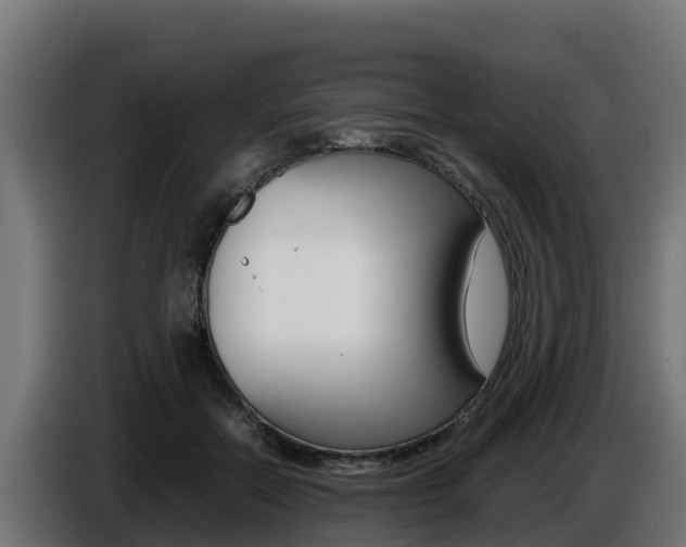 X0000086770554200704130838