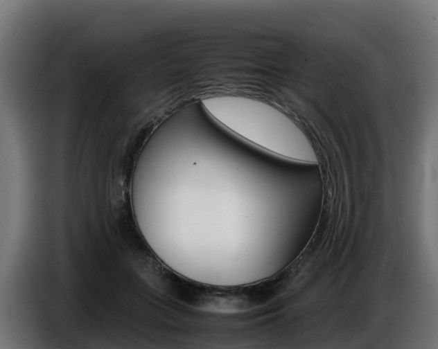 X0000086770555200704130838