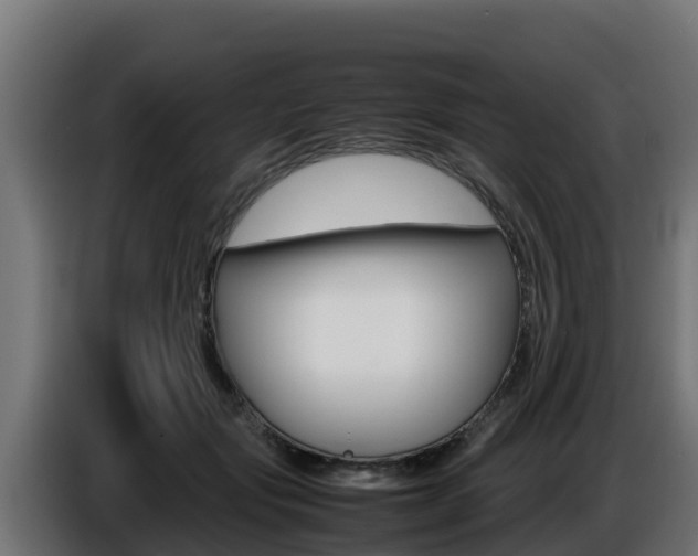 X0000086770557200704130839