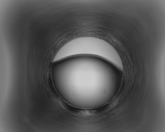 X0000086770558200704130839