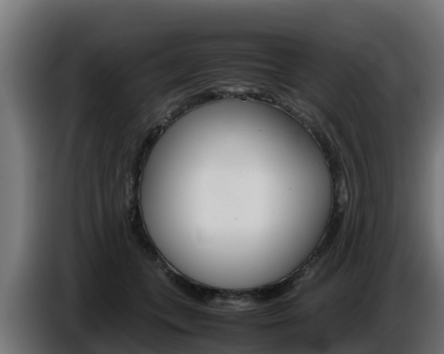 X0000086770559200704130839