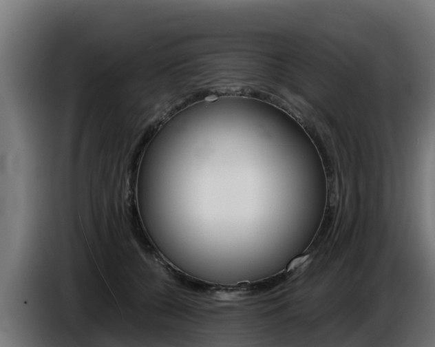 X0000086770560200704130839
