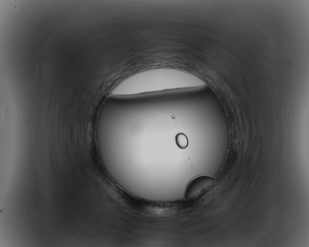 X0000086770563200704130839