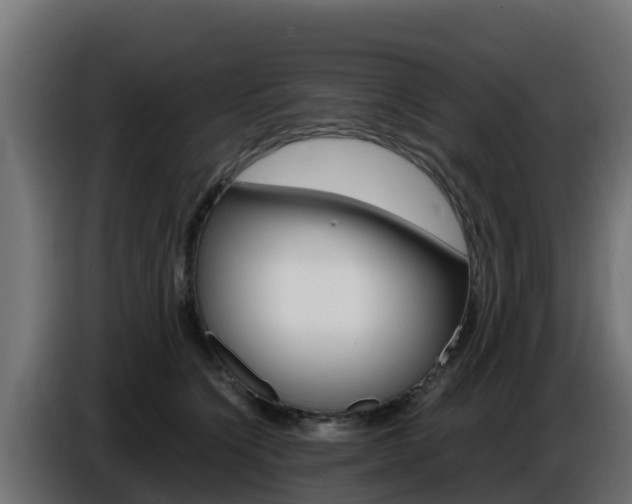 X0000086770564200704130839