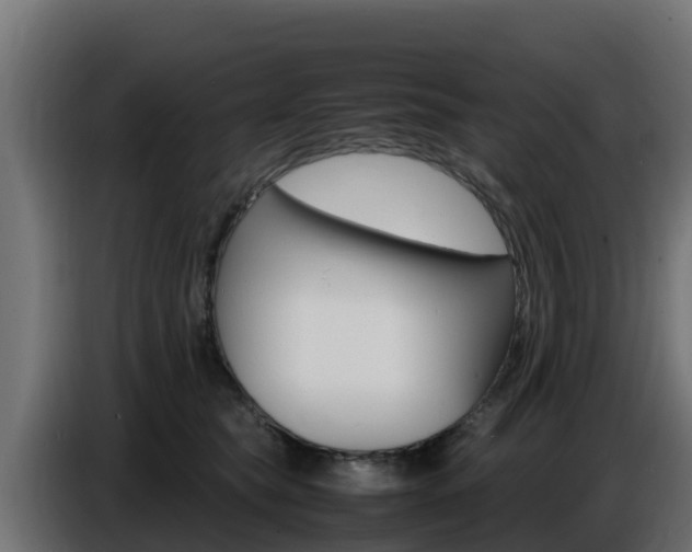 X0000086770565200704130839