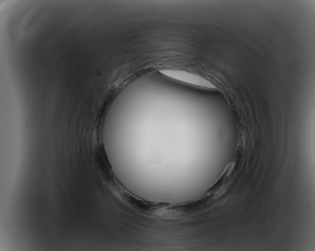 X0000086770568200704130839